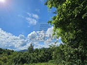 Istarska kuča - Motovun (01686)