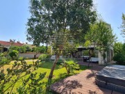 Vila - Umag (00140)