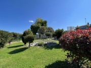 Kuća - Brtonigla (00132)