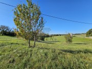 Građevinsko zemljište - Buje (00189)