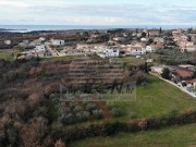 Građevinsko zemljište  - Novigrad (01393)