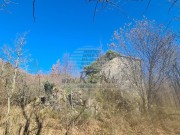 Istarska kuča - Buje (00070)