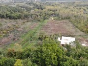 Kuća - Brtonigla (01493)