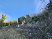 Istarska kuča - Buzet (01640)