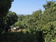 Kuća - Ližnjan (00500)