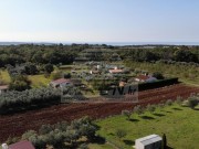 Poljoprivredno zemljište - Novigrad (01389)