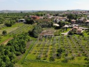 Kuća  - Brtonigla (00132)