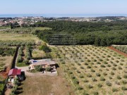 Kuća - Novigrad (00145)