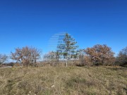 Građevinsko zemljište - Buje (00318)