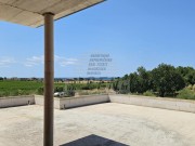 Kuća  - Novigrad (00506)
