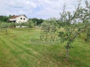 Kuća - Umag (01446)