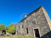 Istarska kuča - Buje (01482)