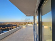 Vila - Buje (00121)