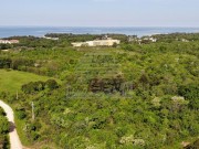 Građevinsko zemljište - Umag (00131)