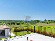 Vila - Brtonigla (00368)