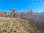 Istarska kuča - Buje (00070)