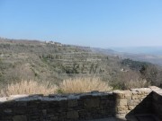 Istarska kuča - Buje (01364)