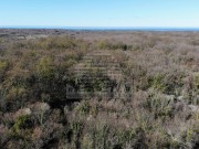 Poljoprivredno zemljište - Umag (01501)