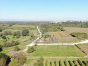 Građevinsko zemljište  - Brtonigla (01858)