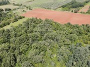 Poljoprivredno zemljište - Umag (01547)