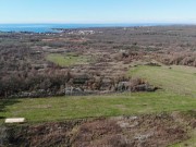 Poljoprivredno zemljište  - Novigrad (00264)
