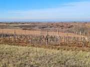 Građevinsko zemljište - Novigrad (01436)