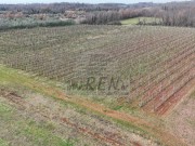 Poljoprivredno zemljište - Brtonigla (01933)