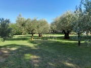 Istarska kuča - Novigrad (00415)