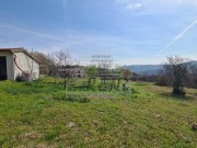 Kuća - Buje (01496)