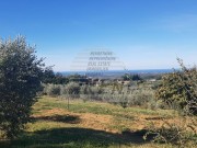 Građevinsko zemljište  - Buje (00091)