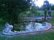 Kuća - Ptuj (01362)