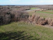 Građevinsko zemljište  - Brtonigla (01474)