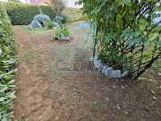 Stan - Novigrad (01575)