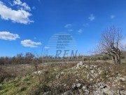 Građevinsko zemljište  - Umag (01784)