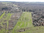 Poljoprivredno zemljište - Novigrad (01658)