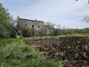 Istarska kuča - Buje (00359)
