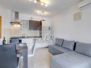 Kuća - Novigrad (01548)