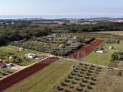 Poljoprivredno zemljište  - Novigrad (01389)
