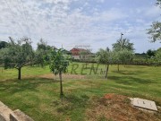 Kuća - Umag (01446)