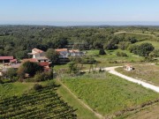 Građevinsko zemljište - Brtonigla (00406)