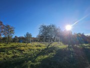 Građevinsko zemljište  - Buje (00427)