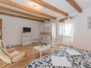 Istarska kuča - Pula (01709)