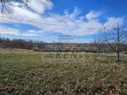 Istarska kuča - Buje (01654)