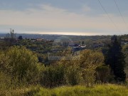 Istarska kuča  - Buje (00117)