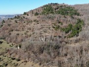 Istarska kuča  - Buje (01429)