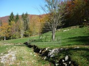 Građevinsko zemljište - Mrkopalj (01355)