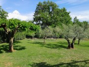 Istarska kuča - Novigrad (01871)