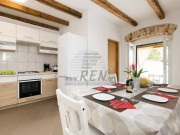 Istarska kuča - Pula (01709)