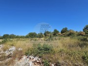 Građevinsko zemljište  - Buje (00507)