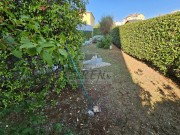 Stan - Novigrad (01575)